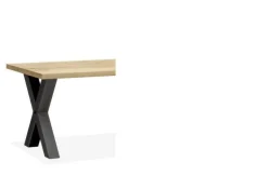 Eettafel Formula-X