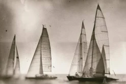 Sailing regatta on sea