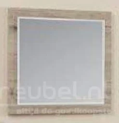 Spiegel Udenhout