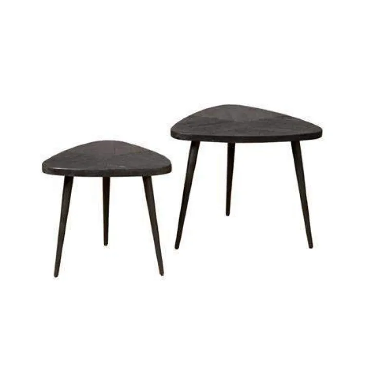 Viola Driehoek Salontafel Set of 2