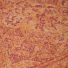 Vloerkleed Tabriz Oranje