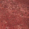 Vloerkleed Tabriz Rood